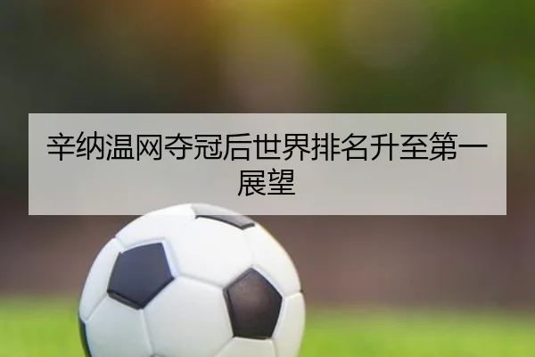 辛纳温网夺冠后世界排名升至第一展望